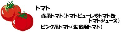 赤系トマト、ピンク系とまと