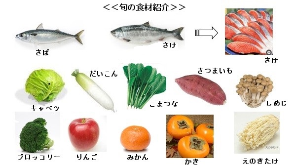 旬 の食材紹介、さば、さけ、キャベツ、だいこん、こまつな、さつまいも、しめじ、えのきたけ、ブロッコリー、りんご、みかん、かき