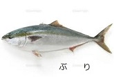 こまつな
