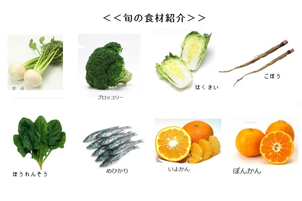 旬 の食材紹介、かぶ、ごぼう、ブロッコリー、はくさい、ほうれんそう、めひかり、ぽんかん、いよかん
