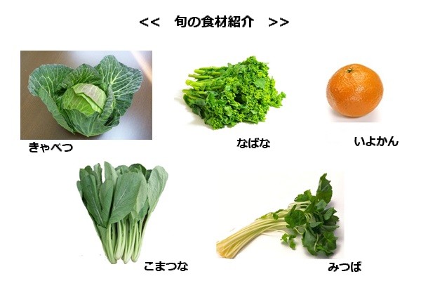 旬 の食材紹介、かぶ、ごぼう、ブロッコリー、はくさい、ほうれんそう、めひかり、ぽんかん、いよかん