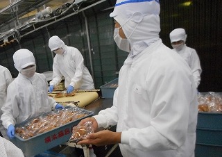 平成28年度食材塾